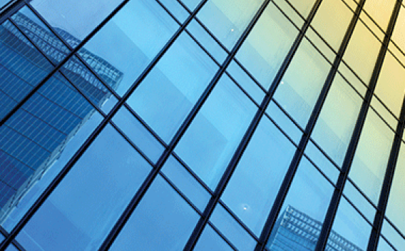 INSIGHTS AND INDICATORS